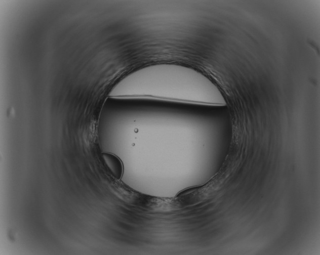 X0000093580093200710151006