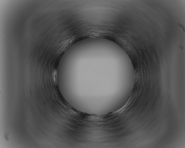 X0000093580094200710151006