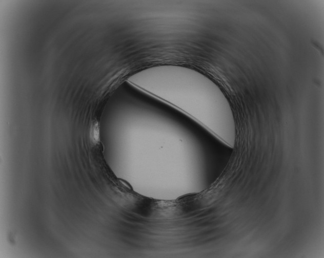 X0000093580095200710151006