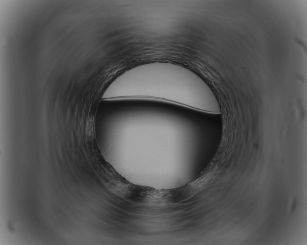 X0000093580096200710151006