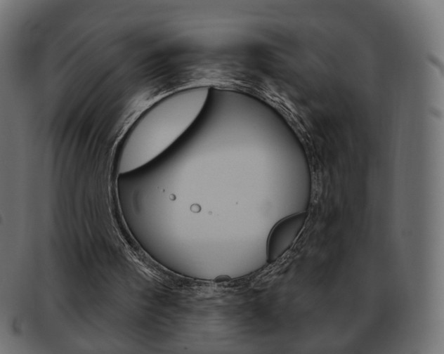 X0000093580098200710151005