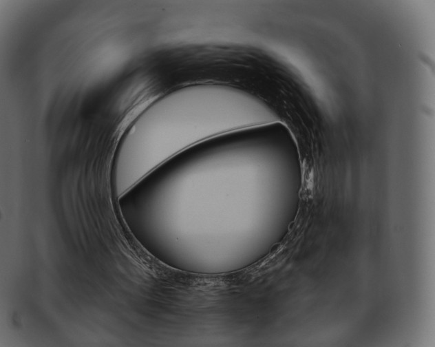 X0000093580099200710151005