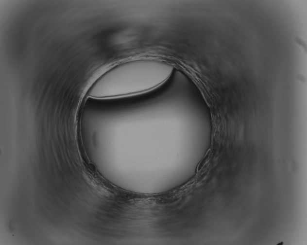 X0000093580100200710151005