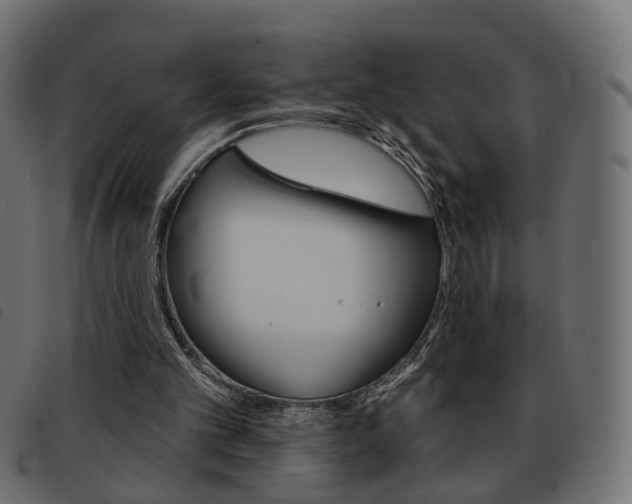 X0000093580101200710151005