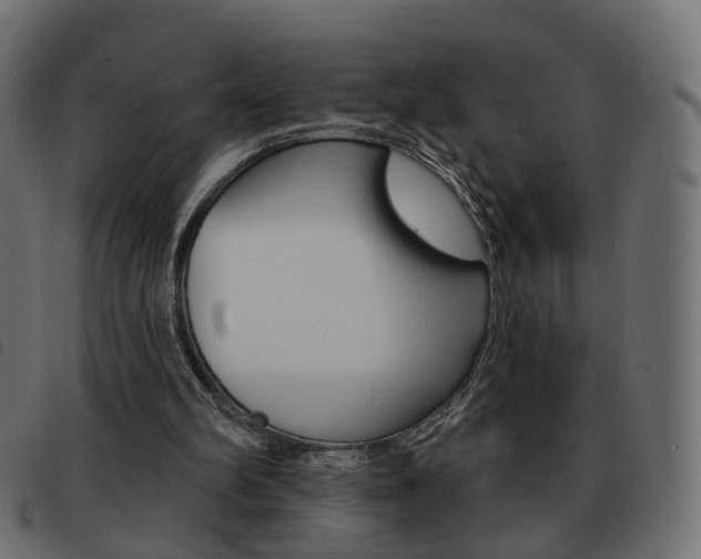 X0000093580102200710151005