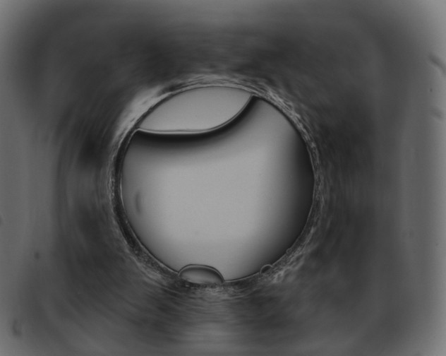 X0000093580103200710151005