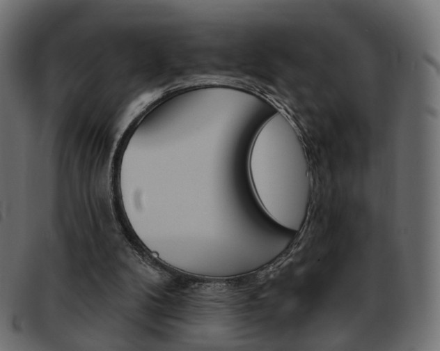 X0000093580104200710151005