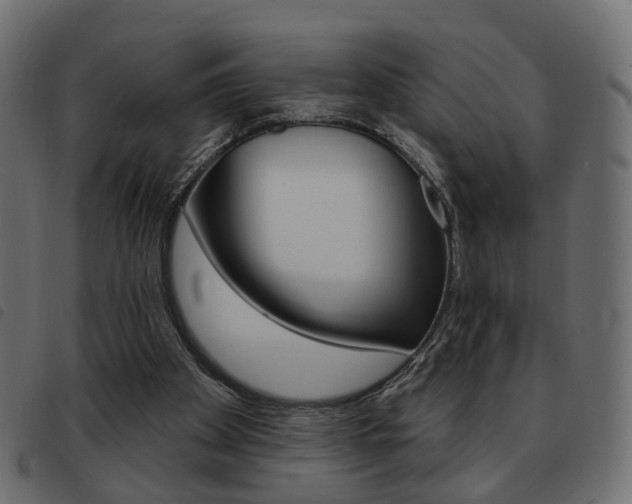 X0000093580105200710151005