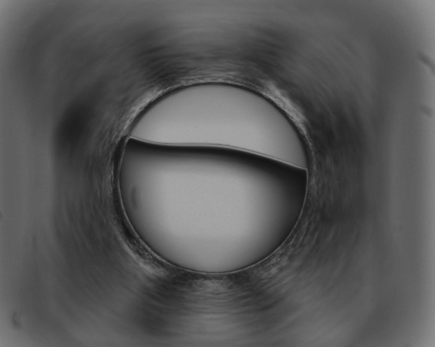 X0000093580107200710151005