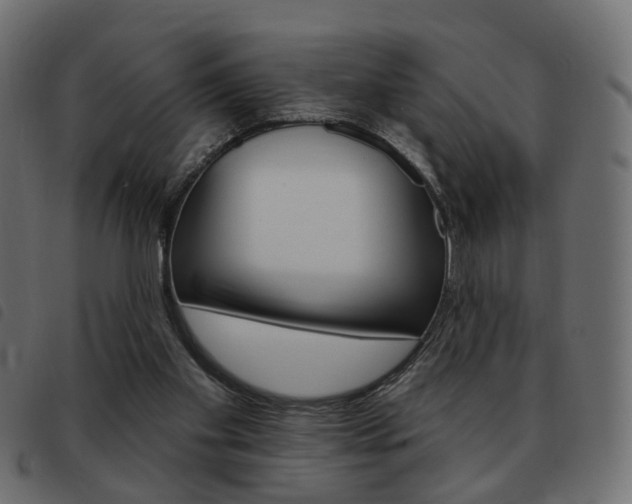 X0000093580109200710151005
