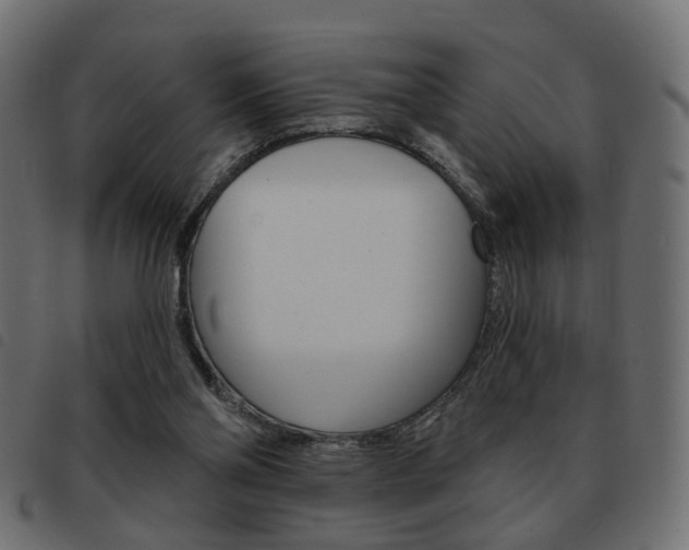X0000093580110200710151005