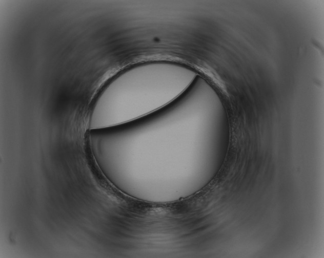X0000093580111200710151005