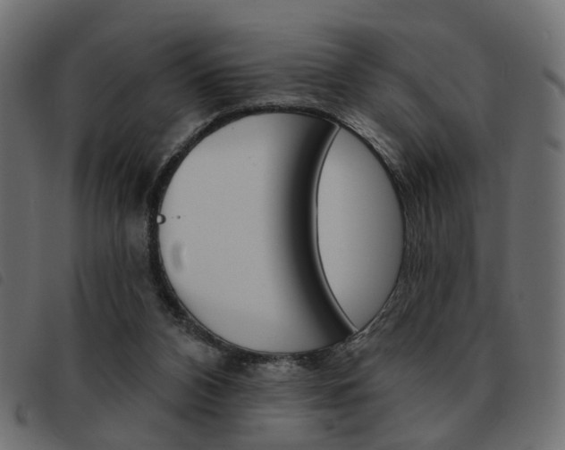 X0000093580112200710151005