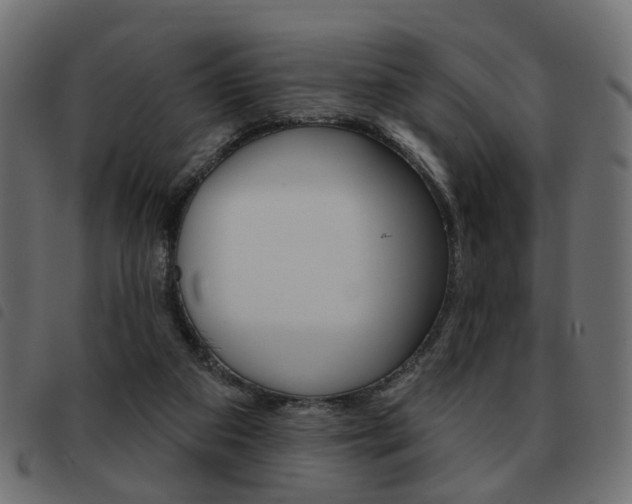 X0000093580113200710151005