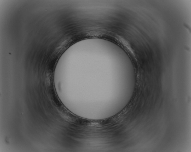 X0000093580114200710151005
