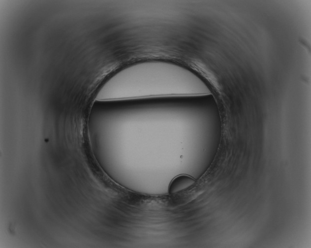 X0000093580115200710151005