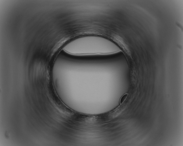 X0000093580116200710151005