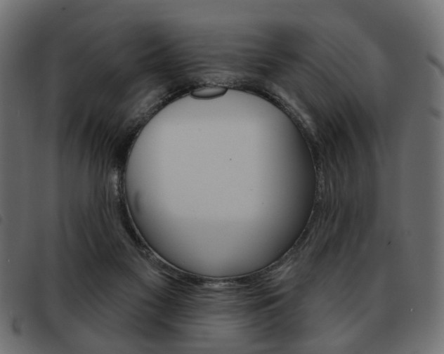 X0000093580117200710151005