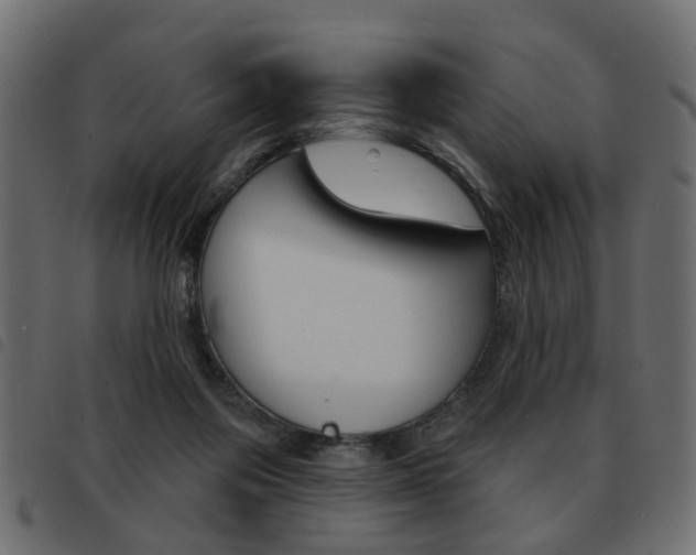 X0000093580119200710151005
