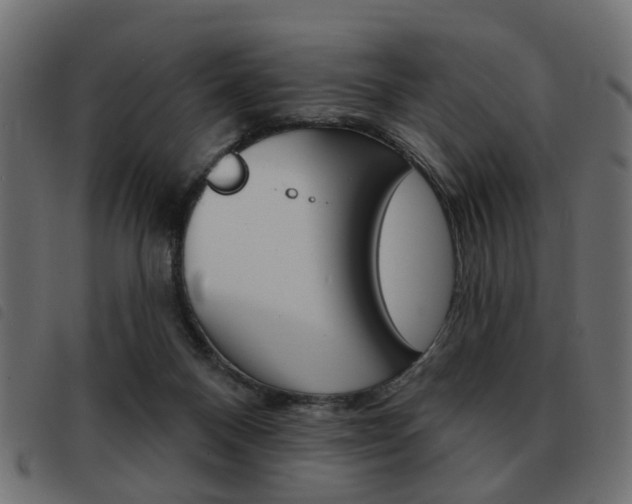 X0000093580120200710151005