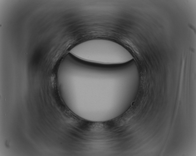 X0000093580123200710151005
