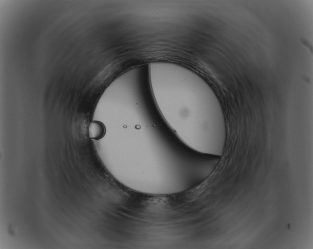 X0000093580124200710151005
