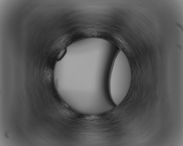 X0000093580125200710151005