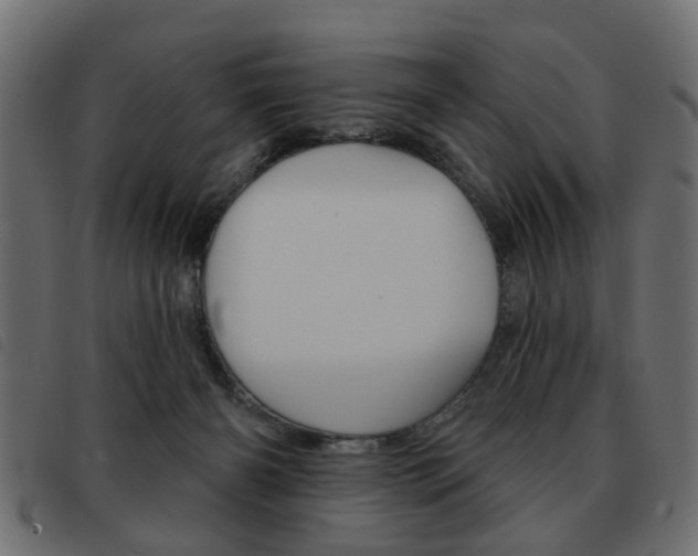 X0000093580126200710151005