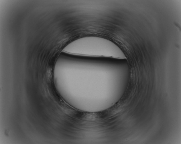 X0000093580127200710151005