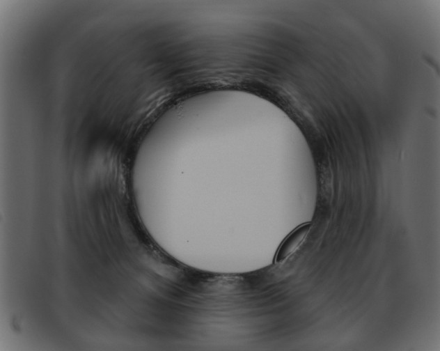 X0000093580128200710151005