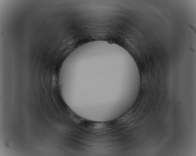 X0000093580130200710151005