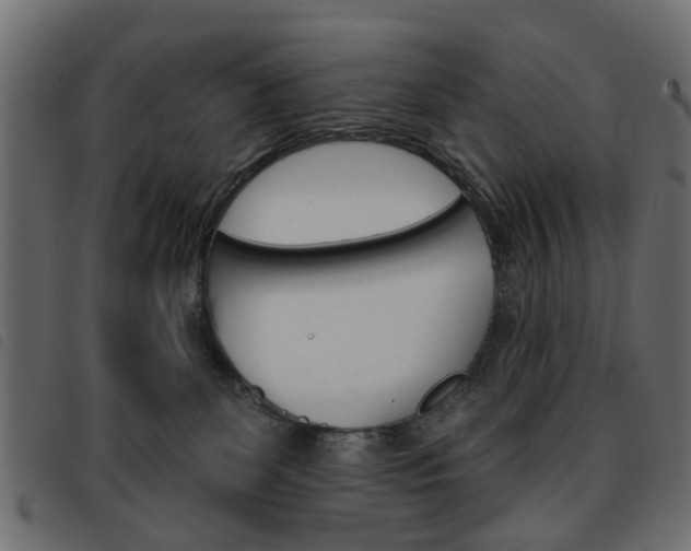X0000093580131200710151005