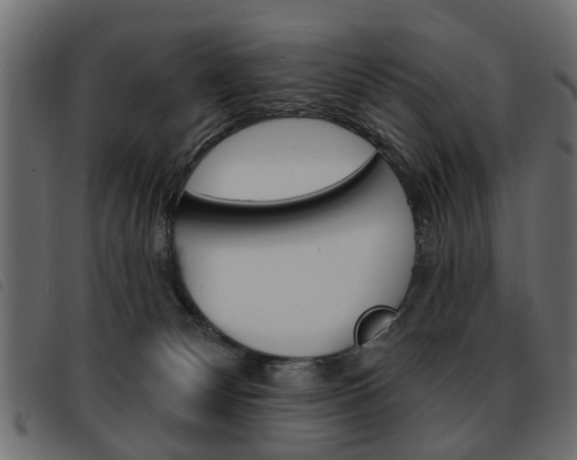 X0000093580132200710151005