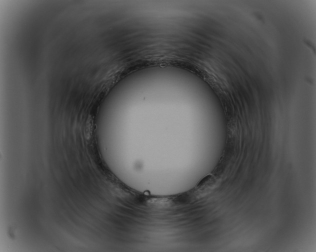 X0000093580133200710151005