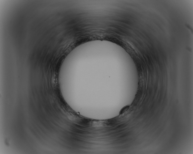 X0000093580134200710151005