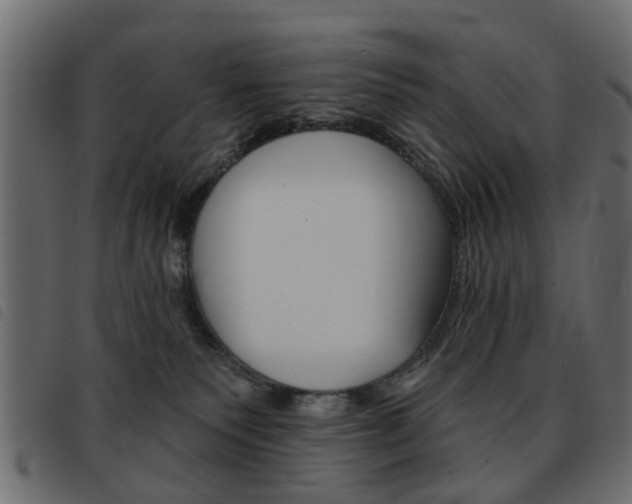 X0000093580135200710151005
