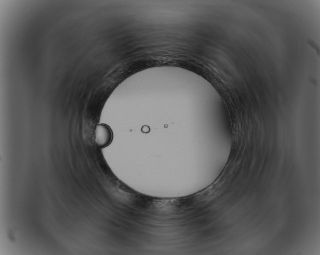 X0000093580136200710151005