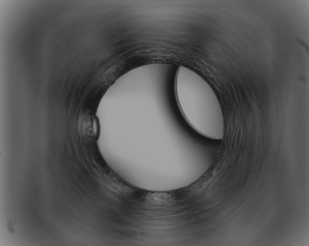 X0000093580137200710151005
