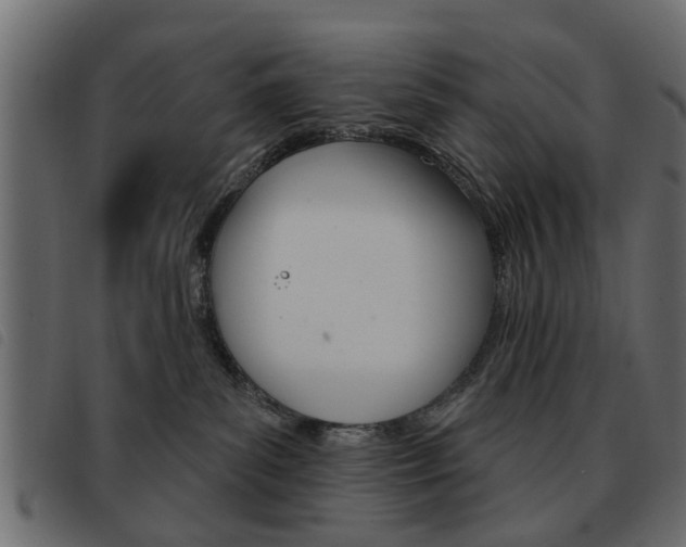 X0000093580139200710151005