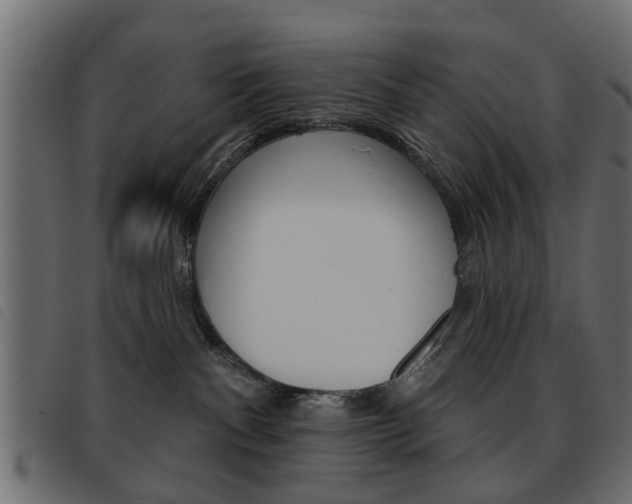 X0000093580140200710151005