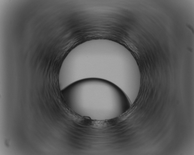 X0000093580141200710151005