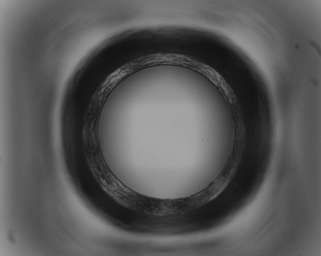 X0000093580142200710151005