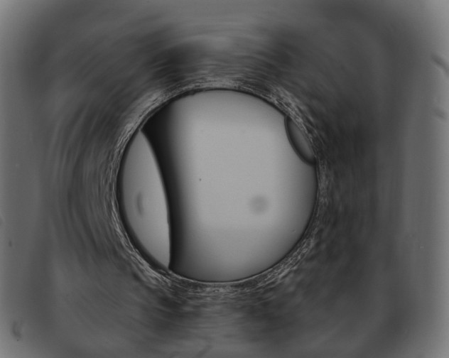 X0000093580145200710151004