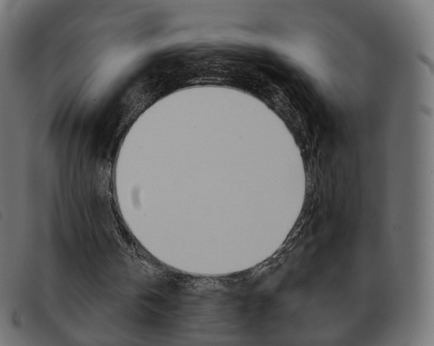 X0000093580146200710151004
