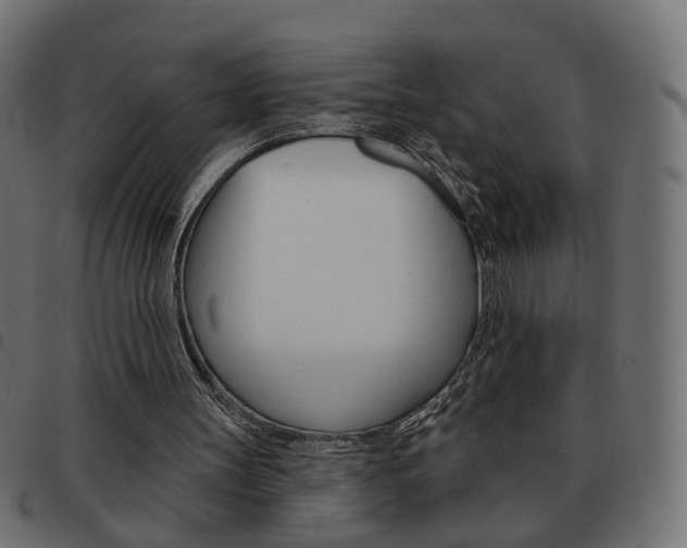 X0000093580147200710151004