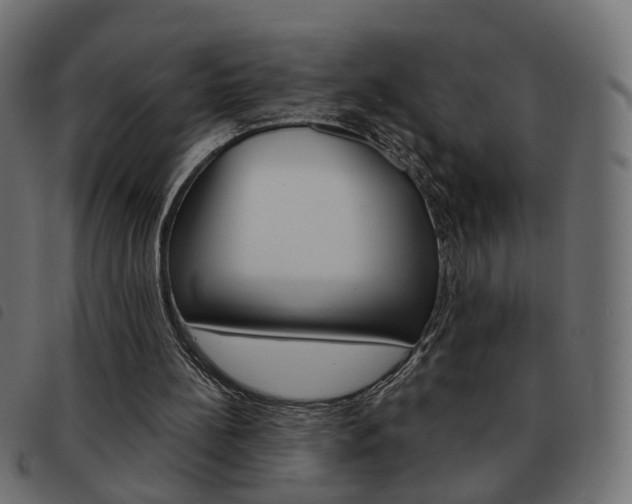 X0000093580148200710151004