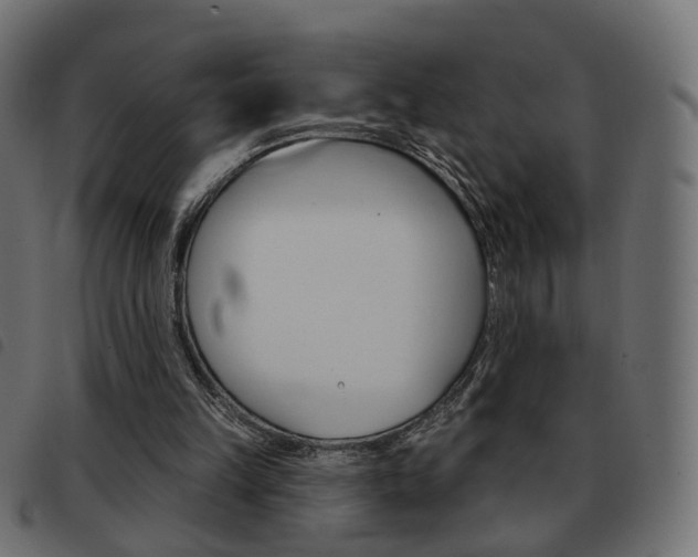 X0000093580149200710151004
