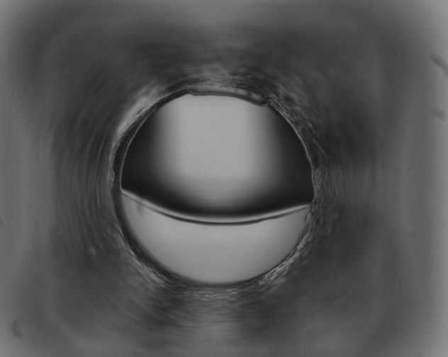 X0000093580150200710151004