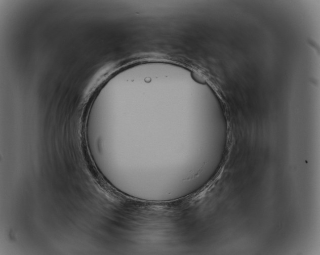X0000093580151200710151004