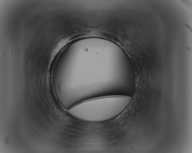 X0000093580152200710151004